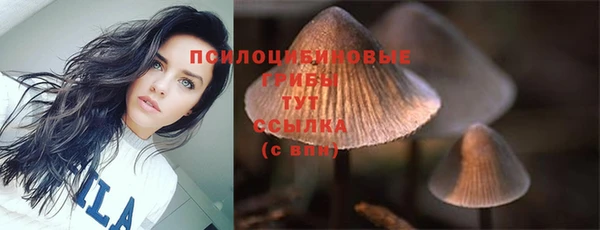 марихуана Баксан