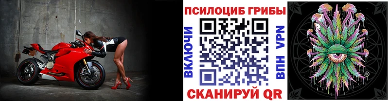Галлюциногенные грибы Psilocybine cubensis  Купить закладки  Юрьевец 
