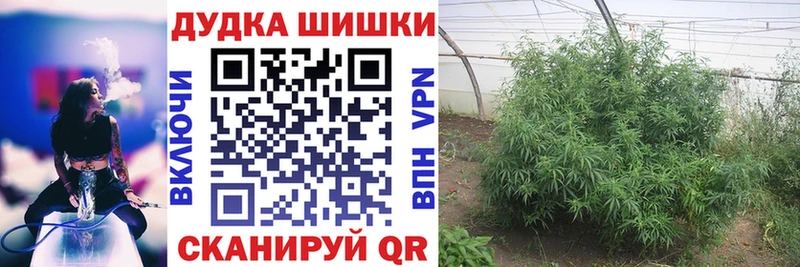 Купить  Юрьевец  Канабис индика 